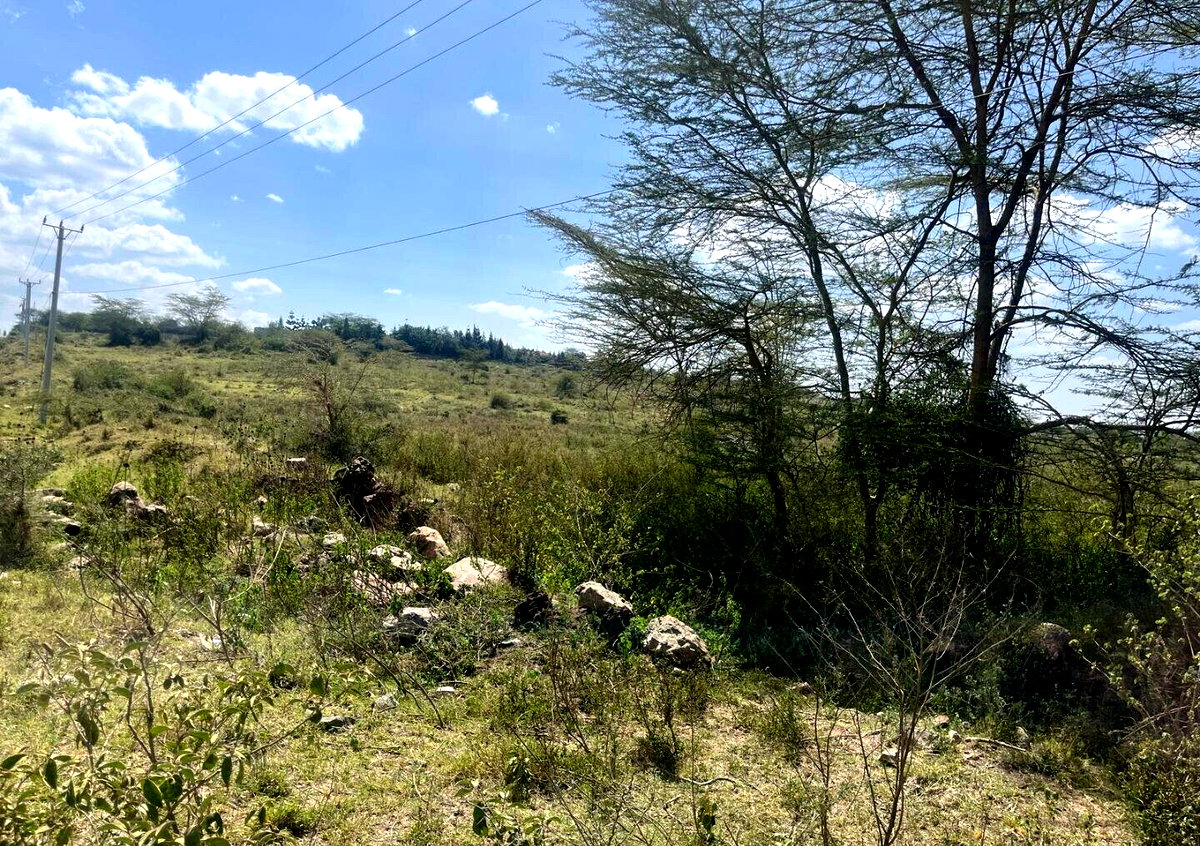 50-Acre Land at KSh 17M per Acre