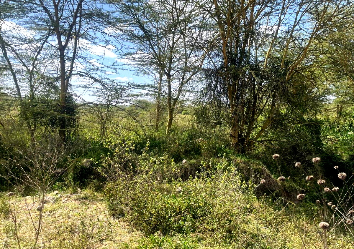 50-Acre Land at KSh 17M per Acre