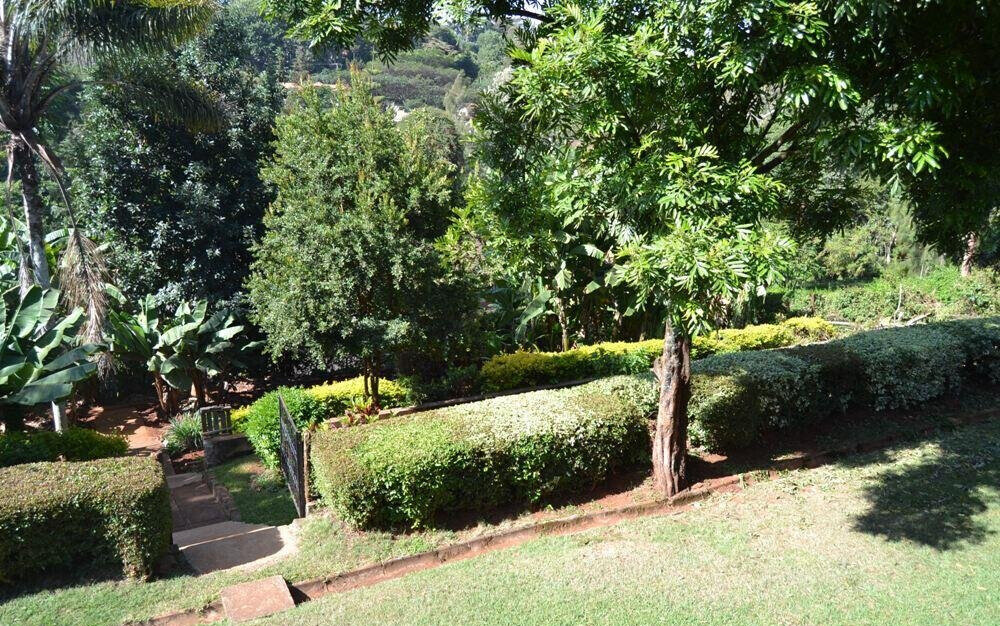 Garden Oasis with 5BR at KSh 250K