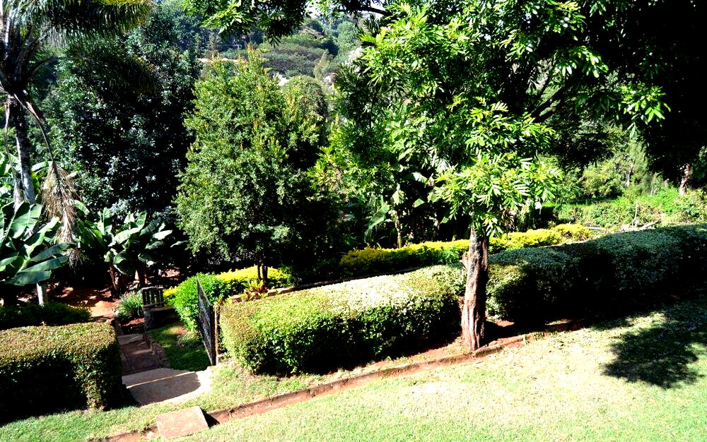 Garden Oasis with 5BR at KSh 250K