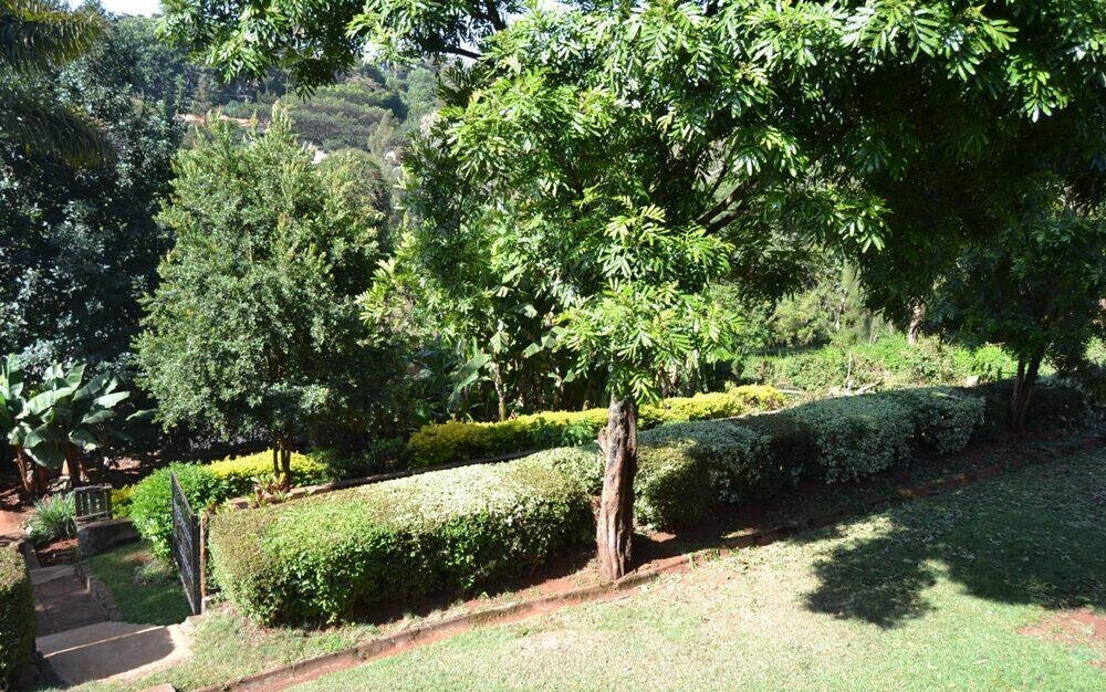 Garden Oasis with 5BR at KSh 250K