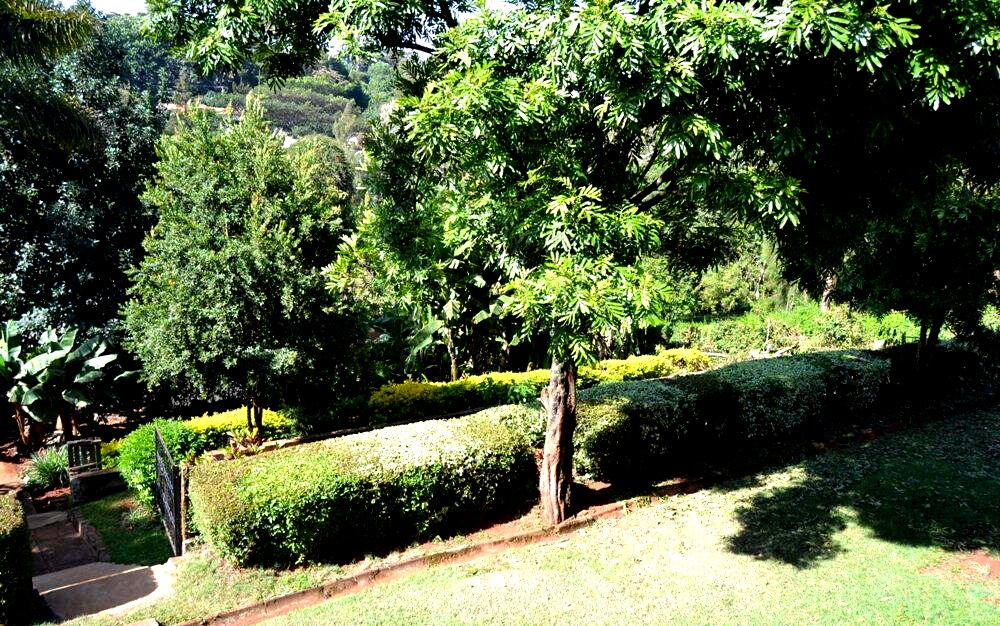 Garden Oasis with 5BR at KSh 250K