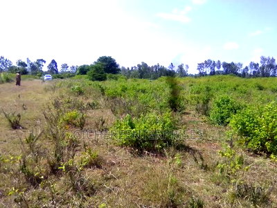 Nyeri Kangaita - Image 5