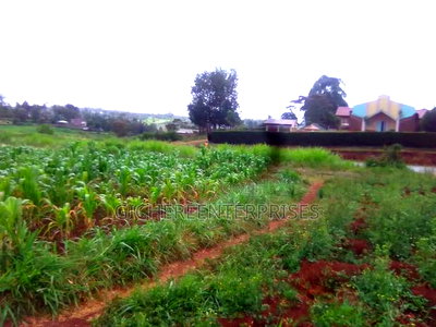 Nyeri Kangaita - Image 1
