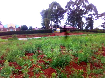 Nyeri Kangaita - Image 3