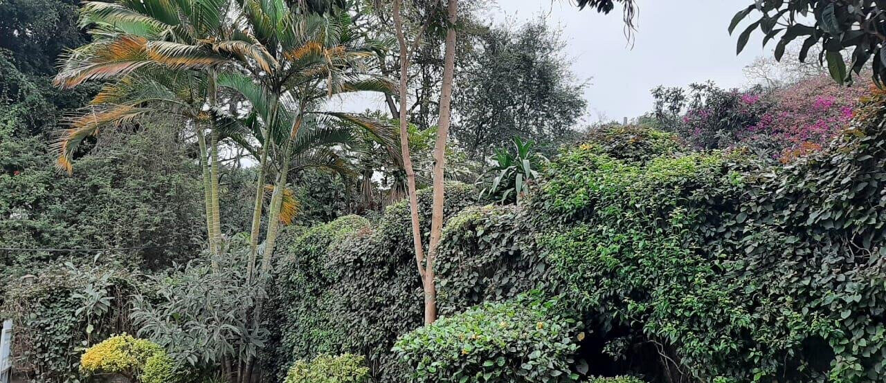 4BR Townhouse with Study & DSQ in Secure Westlands Estate
