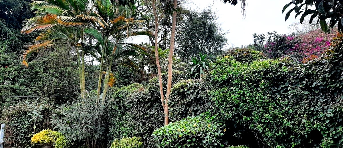 4BR Townhouse with Study & DSQ in Secure Westlands Estate