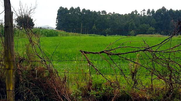 1/4 Plots Chepkanga 50metres From Tarmac