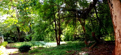 KSh 110M Runda Garden Plot