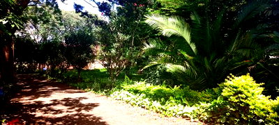 Commercial Land for Sale in Westlands - Image 11