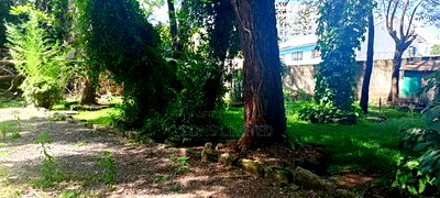 Commercial Land for Sale in Westlands - Image 10