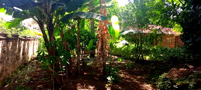 Commercial Land for Sale in Westlands - Image 2