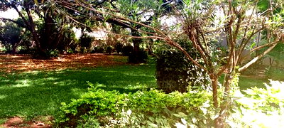 Commercial Land for Sale in Westlands - Image 7