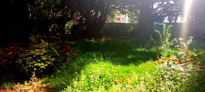 Commercial Land for Sale in Westlands - Image 5