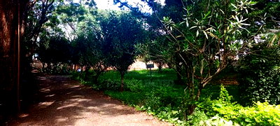 Commercial Land for Sale in Westlands - Image 9