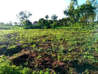 Eighth Acre Plot for Sale at Kamweli Makutano - Image 5