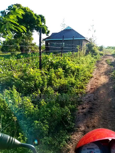 Eighth Acre Plot for Sale at Kamweli Makutano - Image 3