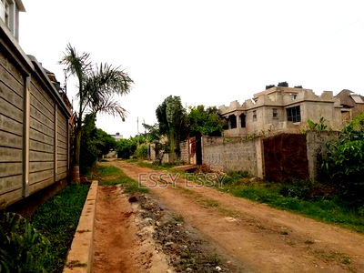 Kenyatta Road 40 by 80 Residential Plot - Image 3