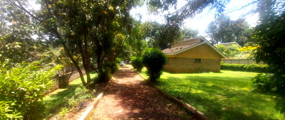 Half Acre Plot in Limuru CBD