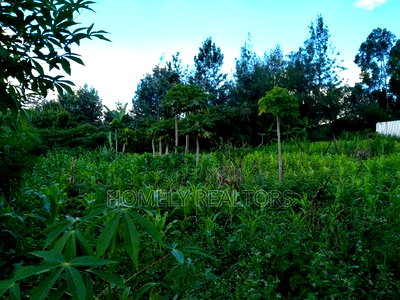 Large Quarter Acre Plot in Ongata Rongai, Kandisi - Image 3