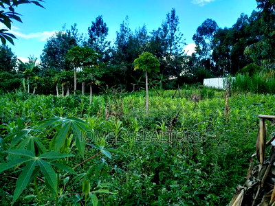 Large Quarter Acre Plot in Ongata Rongai, Kandisi - Image 1