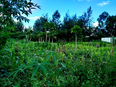 Large Quarter Acre Plot in Ongata Rongai, Kandisi - Image 4
