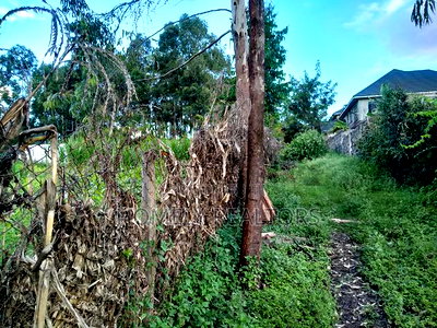 Large Quarter Acre Plot in Ongata Rongai, Kandisi - Image 2