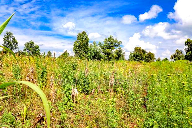 Prime Residential Plot for Sale in Kikuyu, Kamangu -Ng'Amba
