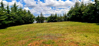 Plots for Sale in Mountainview Kipkorgot in Eldoret - Image 7