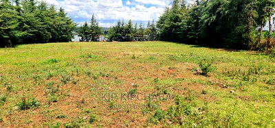 Plots for Sale in Mountainview Kipkorgot in Eldoret - Image 5