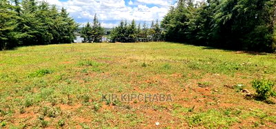 Plots for Sale in Mountainview Kipkorgot in Eldoret - Image 1