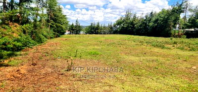 Plots for Sale in Mountainview Kipkorgot in Eldoret - Image 2