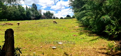 Plots for Sale in Mountainview Kipkorgot in Eldoret - Image 6