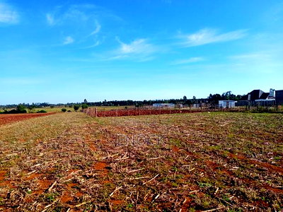 Prime Residential Plots in Chepkanga, Chemaluk - Image 2