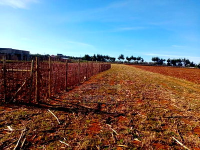 Prime Residential Plots in Chepkanga, Chemaluk - Image 1