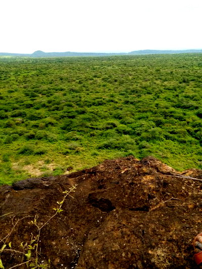 50acres Farmland Ngoiyan - Image 2