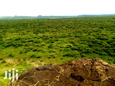 50acres Farmland Ngoiyan - Image 1