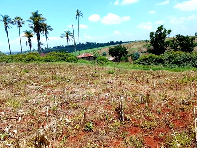Three 40x80 Plots Matropi Estate Kiambu - Image 6