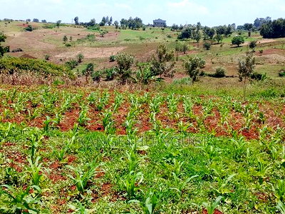 Three 40x80 Plots Matropi Estate Kiambu - Image 2