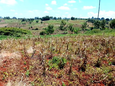 Three 40x80 Plots Matropi Estate Kiambu - Image 5