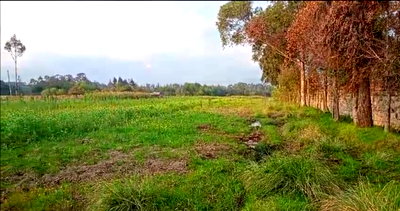 10-Acre Garden Plot with Parking - Nyandarua