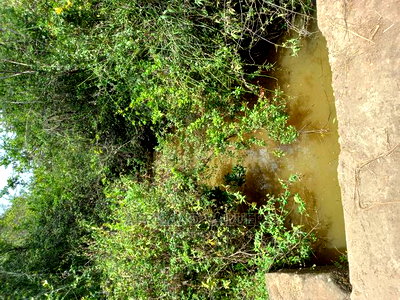 29 Acres of Land for Sale in Karen - Image 9