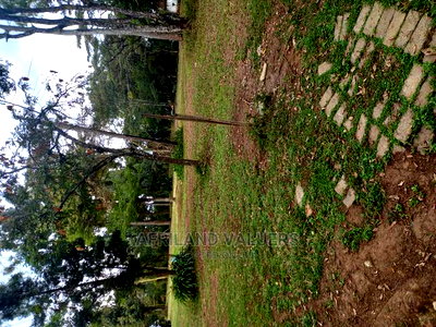 29 Acres of Land for Sale in Karen - Image 6