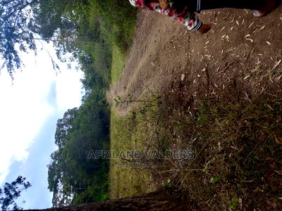 29 Acres of Land for Sale in Karen - Image 5