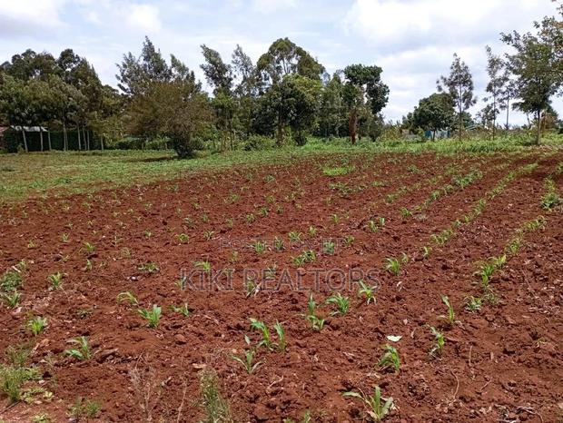 Kikuyu Sigona Jet Scheme Plot 100*100