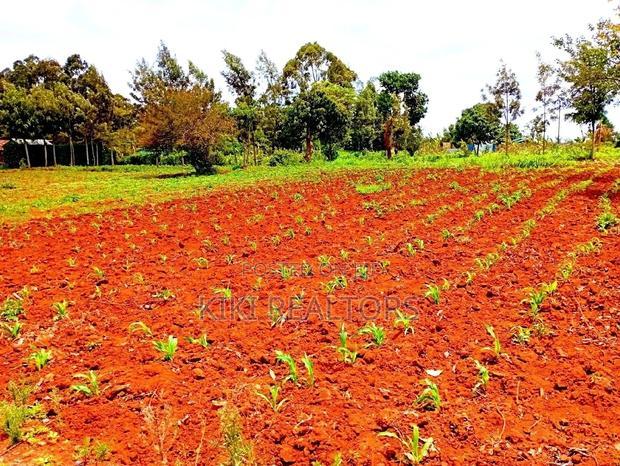 Kikuyu Sigona Jet Scheme Plot 100*100