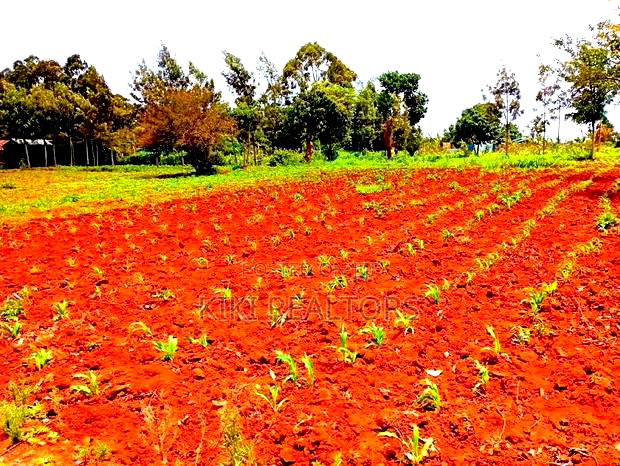 Kikuyu Sigona Jet Scheme Plot 100*100