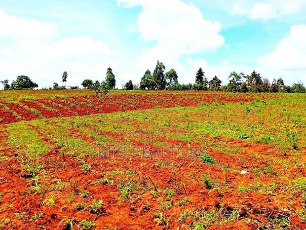 Kikuyu Sigona Jet Scheme Plot 100*100