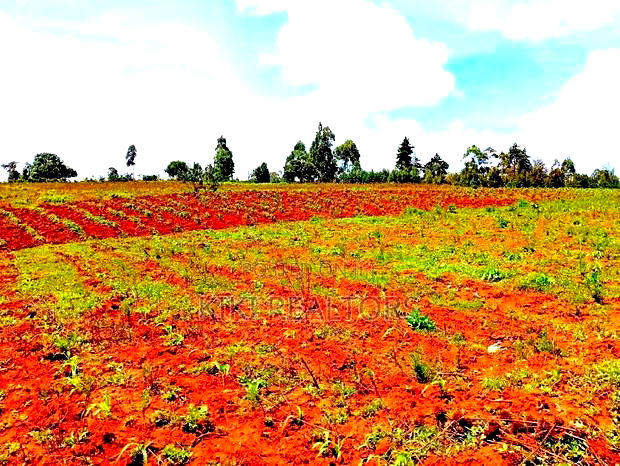 Kikuyu Sigona Jet Scheme Plot 100*100