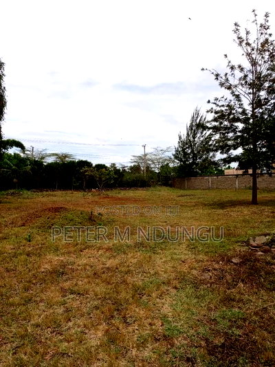 Prime Residential Plot 1/2 Acre Garden Estate - Image 4